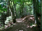 421  hiking trail.JPG